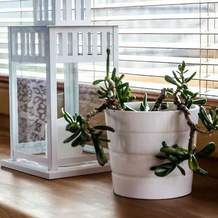 아파트 4 Seasons 코스실리스코